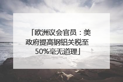 欧洲议会官员：美政府提高钢铝关税至50%毫无道理